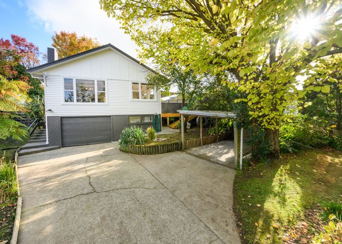  at 11 Juliana Place, Awapuni, Palmerston North, Manawatu / Whanganui