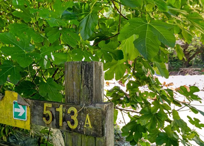  at 513a Taneatua Road, Taneatua, Whakatane, Bay Of Plenty