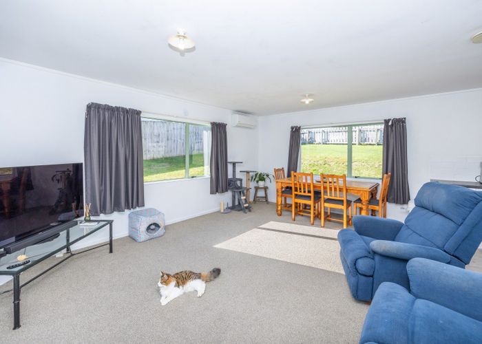  at 73 Rolleston Street, Kihikihi, Te Awamutu