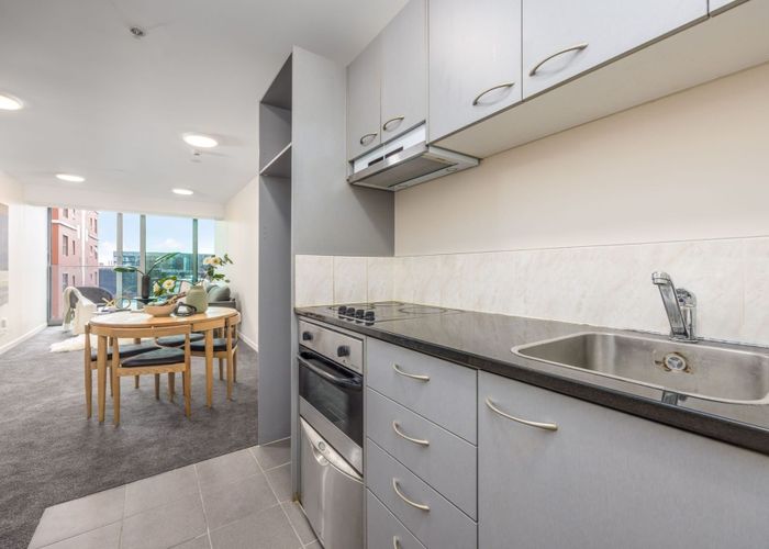  at 117/135 Hobson Street, City Centre, Auckland City, Auckland