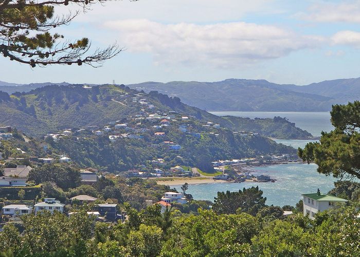 For sale 80 Beacon Hill Road, Strathmore Park, Wellington, Wellington homes.co.nz