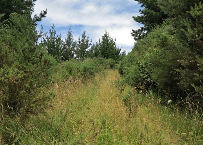 at 97 Matenga Road, Ligar Bay, Tākaka