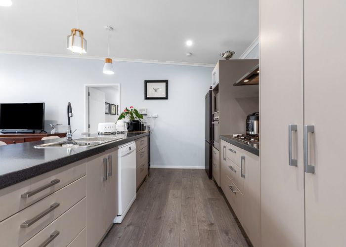  at 102 Twin Oak Ave, Papamoa, Tauranga, Bay Of Plenty