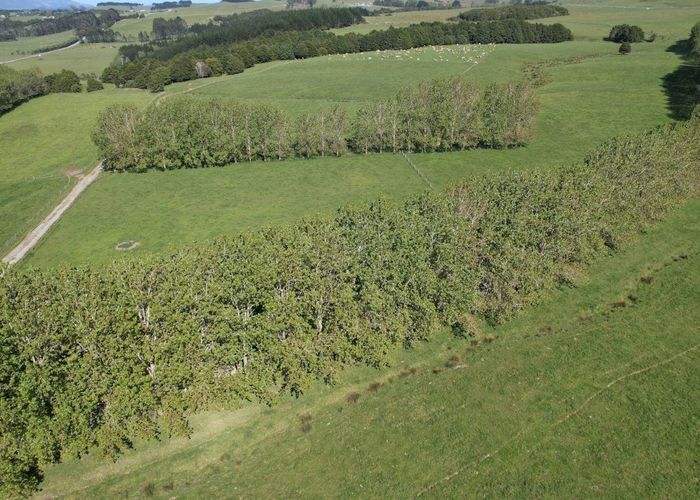  at 374 Rakauwahia Road, Taheke, Far North, Northland