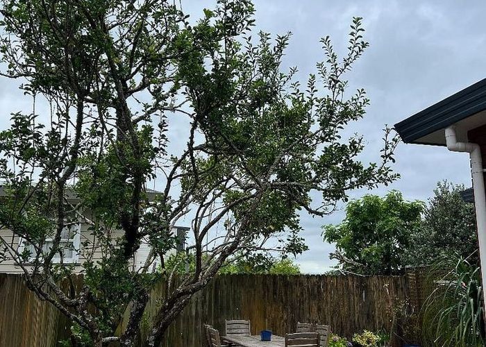  at 12B Raleigh Road, Northcote, North Shore City, Auckland