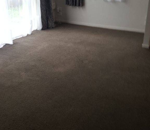  at 6/15 Korimako Street, Frankton, Hamilton, Waikato