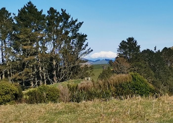  at 213 Forest Road, Oruanui