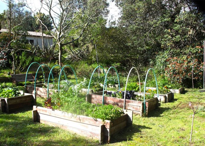  at 66 Palmer Road, Foxton Beach, Horowhenua, Manawatu / Whanganui