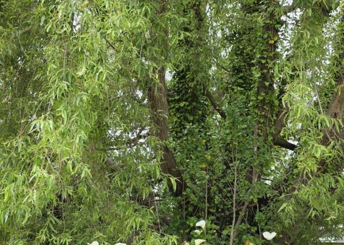  at 86 Rangiuru Road, Otaki Beach, Kapiti Coast, Wellington