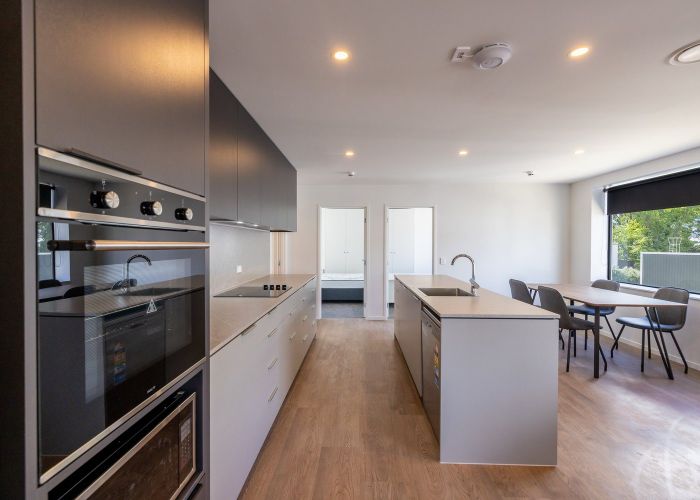  at 211/91 Harrow street, North Dunedin, Dunedin, Otago