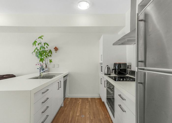  at 3M Papawai Terrace, Mount Cook, Wellington, Wellington