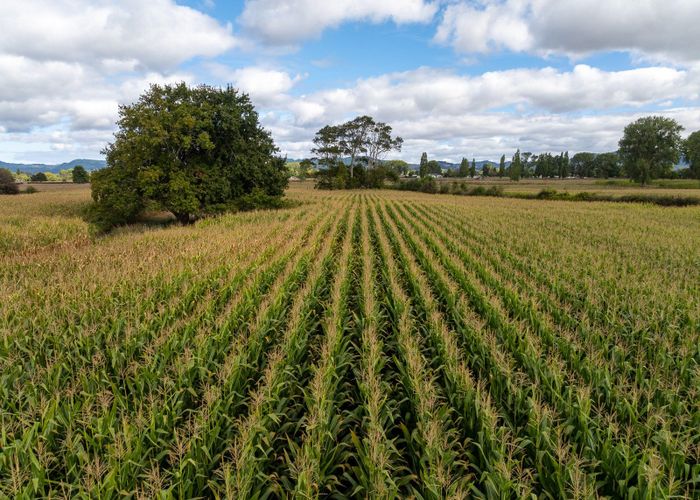  at 570A Te Kowhai Road, Te Kowhai, Waikato, Waikato
