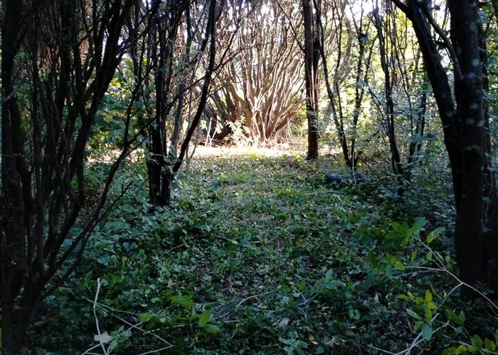  at 49 Handyside Street, Tawa, Wellington