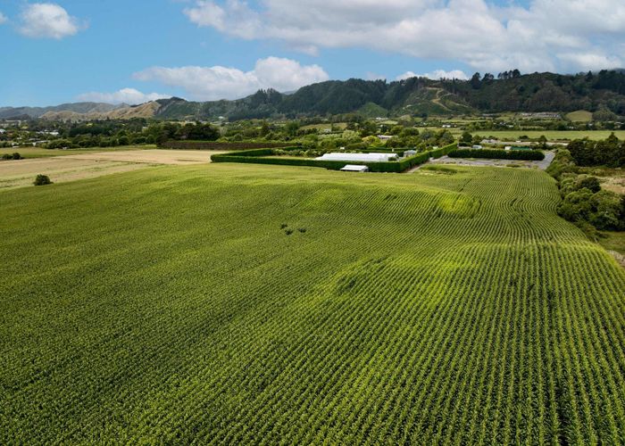  at 1200 State Highway 1, Manakau, Horowhenua, Manawatu / Whanganui