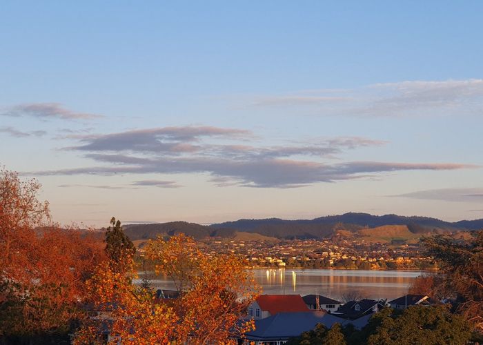  at 404/359 Cameron Road, City Centre, Tauranga, Bay Of Plenty