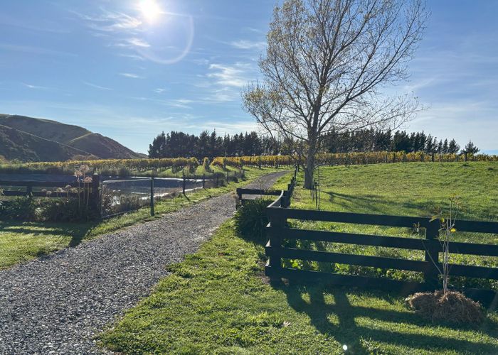  at 441 Blind River Loop Road, Seddon, Marlborough, Marlborough