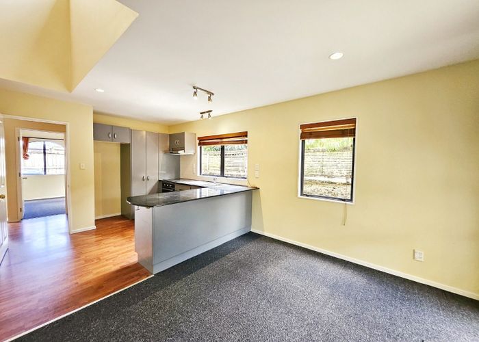  at 19B Kain Street, Mount Eden, Auckland