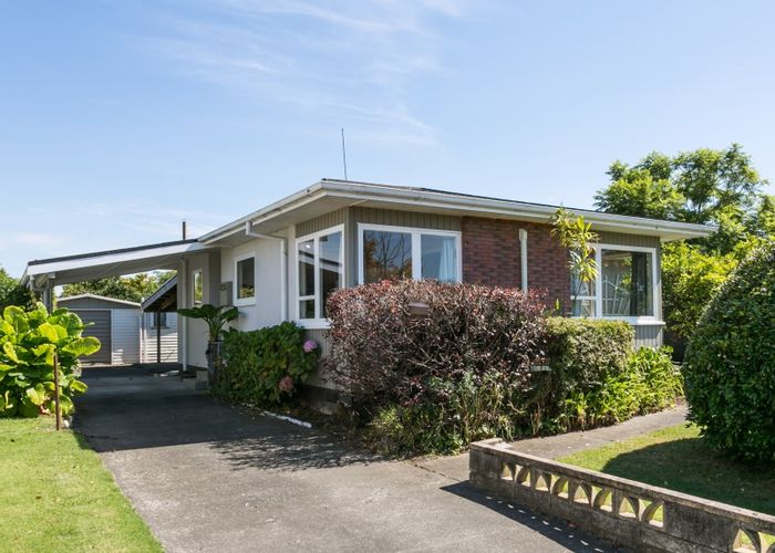 Free property data for 17 Rochester Street, Tamatea, Napier homes.co.nz