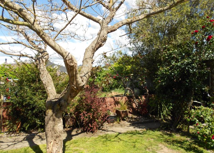  at 12 Roker Street, Somerfield, Christchurch
