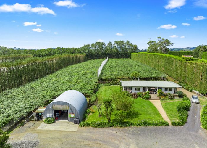  at 9653 State Highway 2, Waihi, Hauraki, Waikato