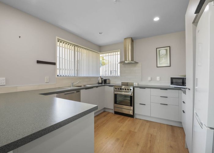  at 19A Linton Street, Mayfield, Blenheim, Marlborough