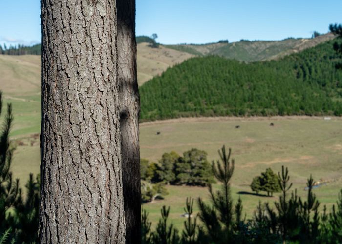  at 240 Teapot Valley Road, Brightwater, Tasman, Nelson / Tasman