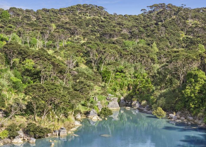  at 503 Te Akau Wharf Road, Te Akau, Waikato, Waikato