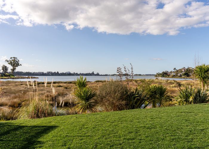  at 43 Hinaki Street, Poike, Tauranga, Bay Of Plenty