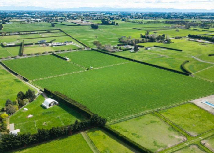  at 955 Springs Road, Prebbleton, Prebbleton