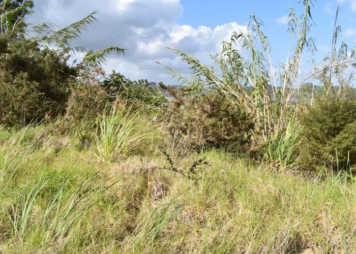  at 56 Parnell Street, Rawene, Kaikohe