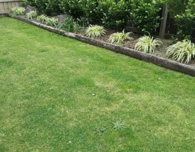  at 117B Park Road, Katikati, Katikati