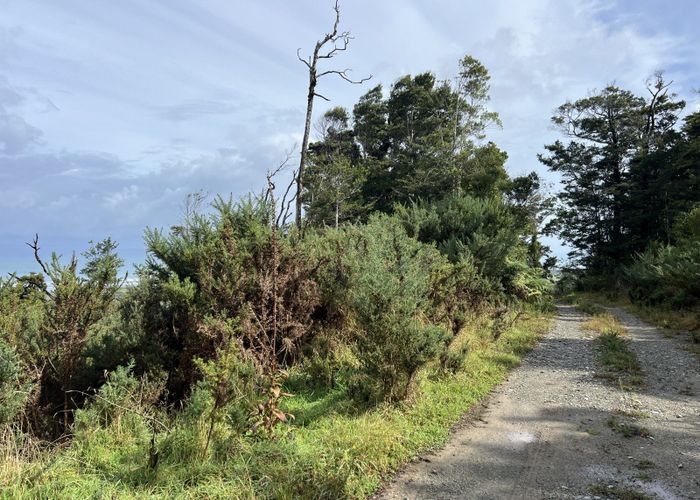  at Lot . State Highway 6, Barrytown, Grey, West Coast