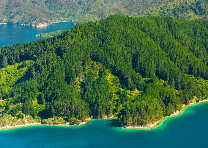  at Snake Point, Queen Charlotte Sounds, Marlborough, Marlborough