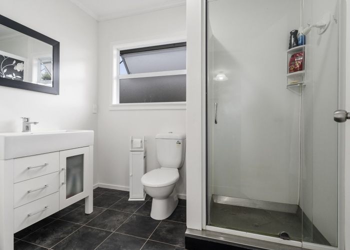  at 44 Birmingham Street, Takaro, Palmerston North
