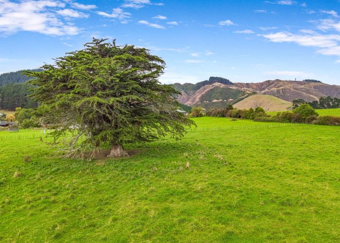  at 383 Wallace Road, Levin, Horowhenua, Manawatu / Whanganui