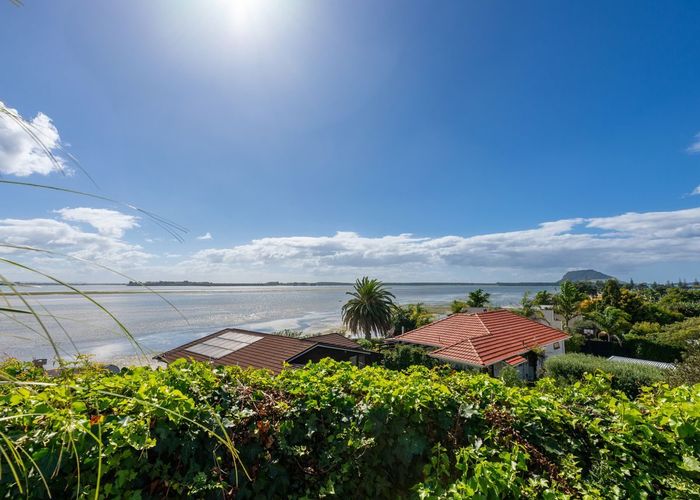  at 115 Matua Road, Matua, Tauranga, Bay Of Plenty