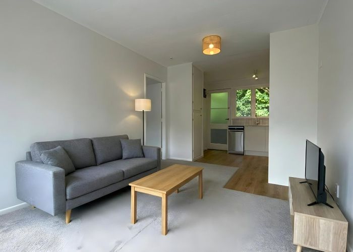  at 3/67a Second Ave, Kingsland, Auckland City, Auckland