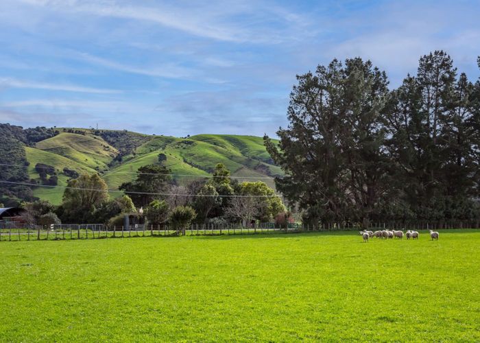  at 156 Haringa Road, Carrington