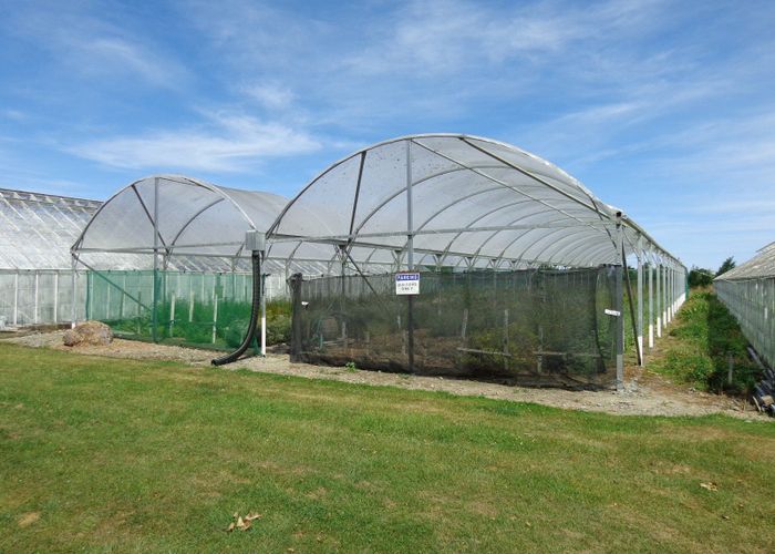  at 94 Thews Road, Tinwald, Ashburton