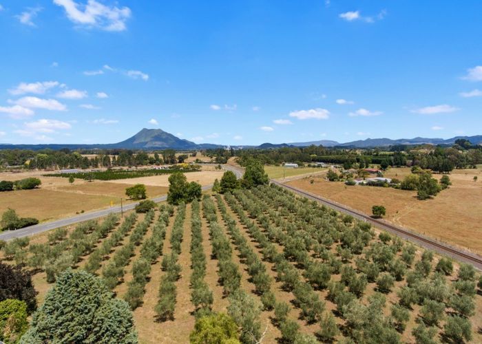  at 167 Hallett Road, Otakiri, Whakatane