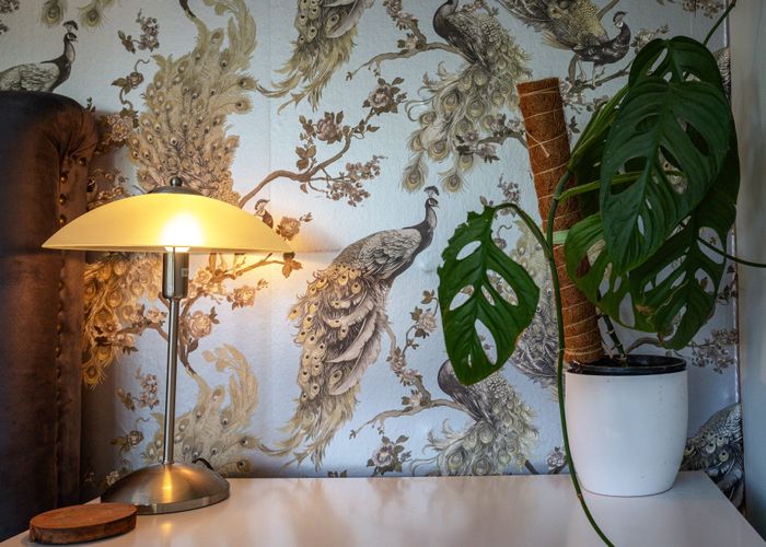  at 428 Hillside Road, South Dunedin, Dunedin, Otago