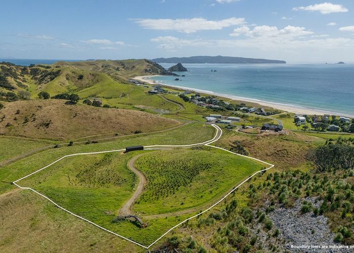  at 838 Black Jack Road, Opito, Thames-Coromandel, Waikato