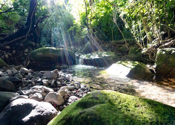  at 294B BUSBY ROAD, Katikati, Western Bay Of Plenty