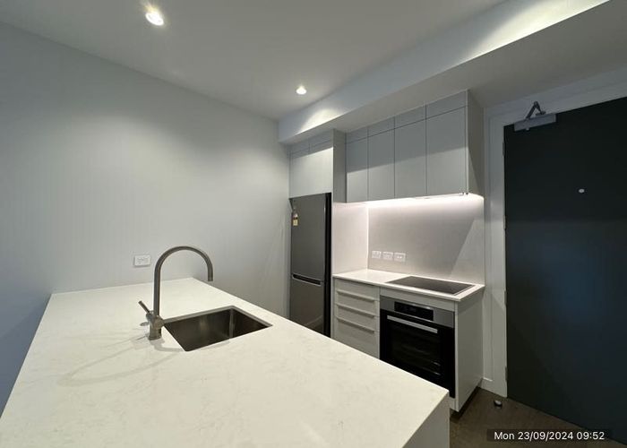  at 207/393  Great North Road, , Grey Lynn, Auckland City, Auckland