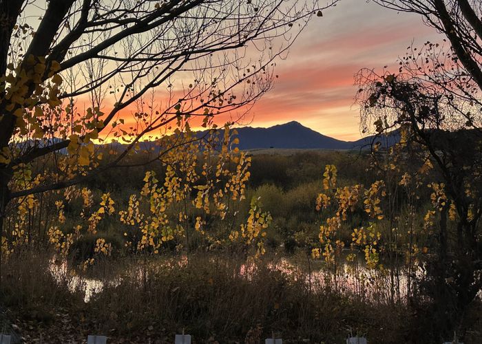  at 22b Rushland Road, Jacks Point, Queenstown-Lakes, Otago