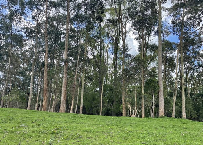  at 106 Kukutauaki Road, Koputaroa, Shannon