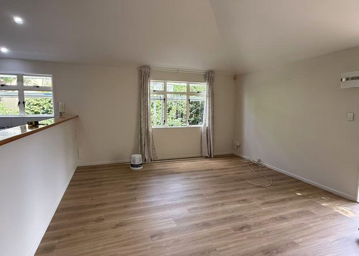  at 313 Mount Eden Road, Mount Eden, Auckland