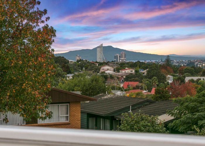  at 67 Coronation Road, Hillcrest, North Shore City, Auckland