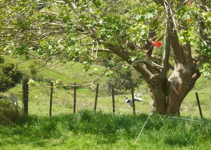  at 61a Porter Road, Paparoa, Kaipara, Northland