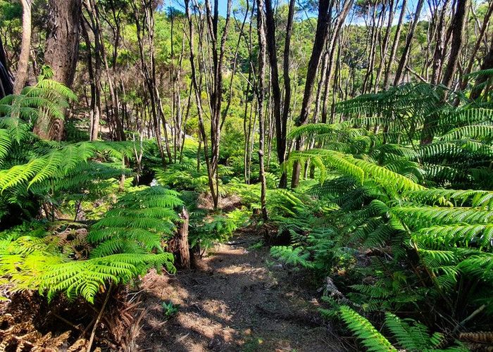  at 21 Woods Ridge Road, Kawau Island, Hauraki Gulf Islands, Auckland